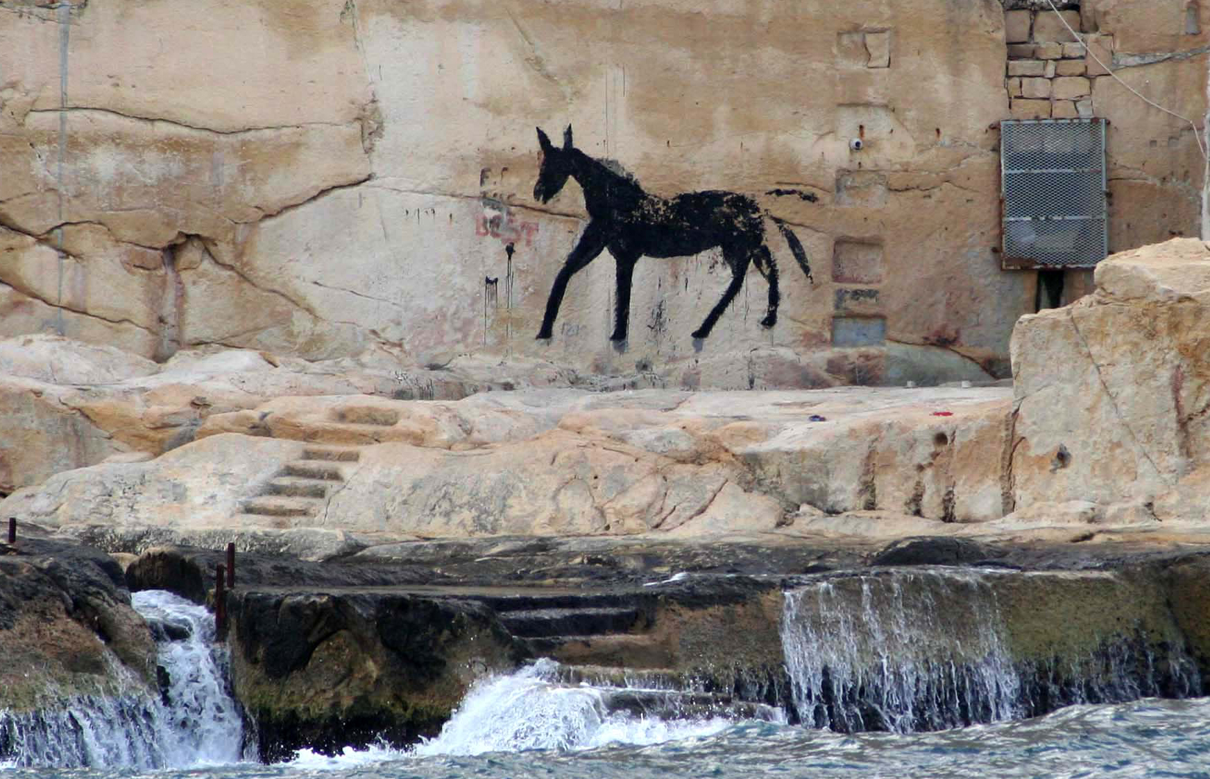 Maltese Water Jump
